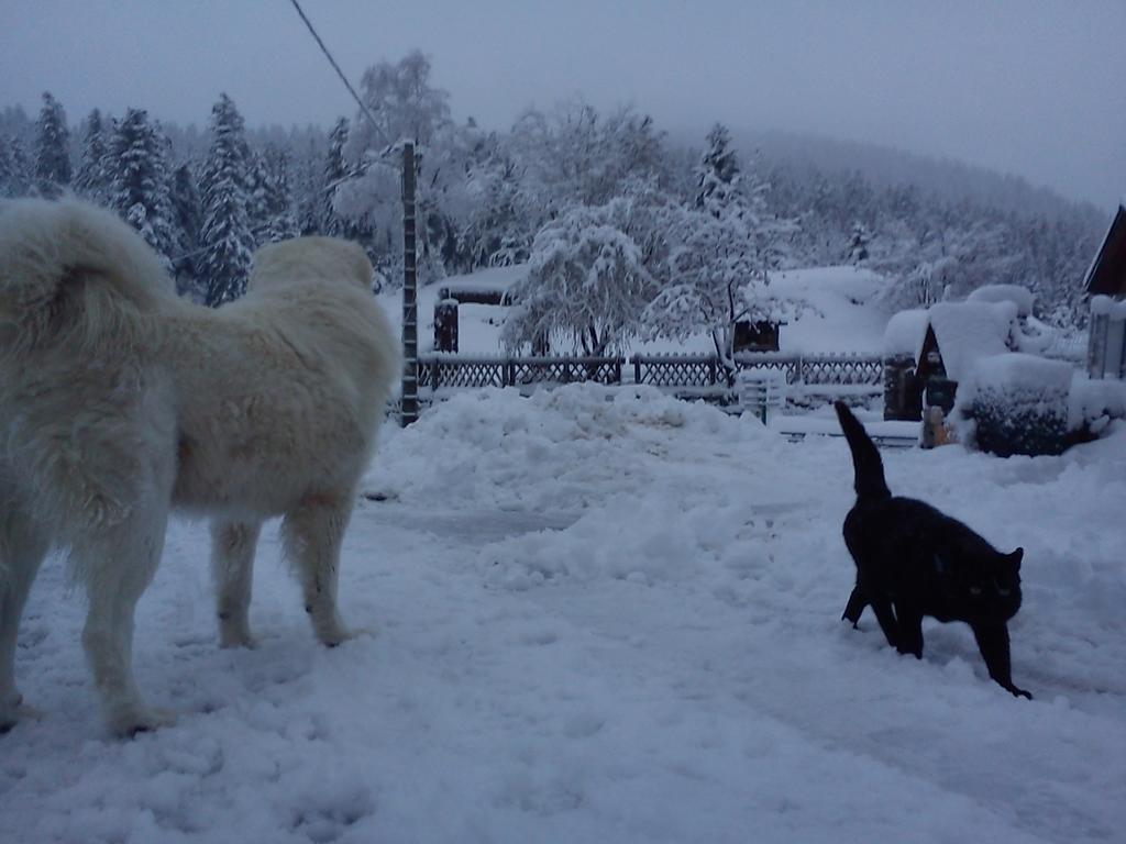 Hotel Les Chamois La Bollène-Vésubie Zewnętrze zdjęcie